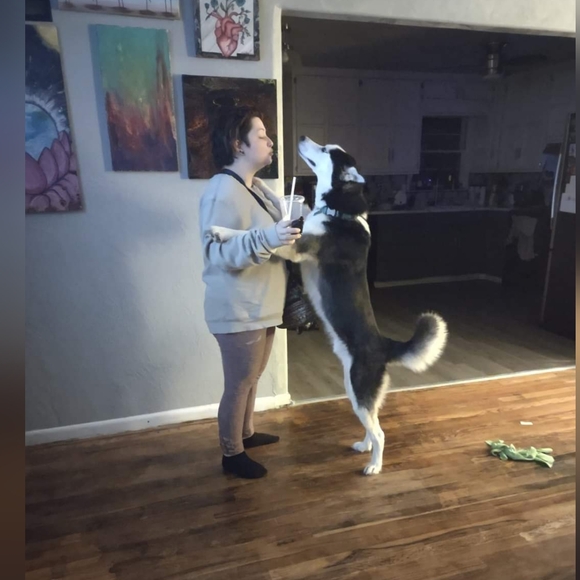 Meet your Posher, Brittani - Picture 11 of 12